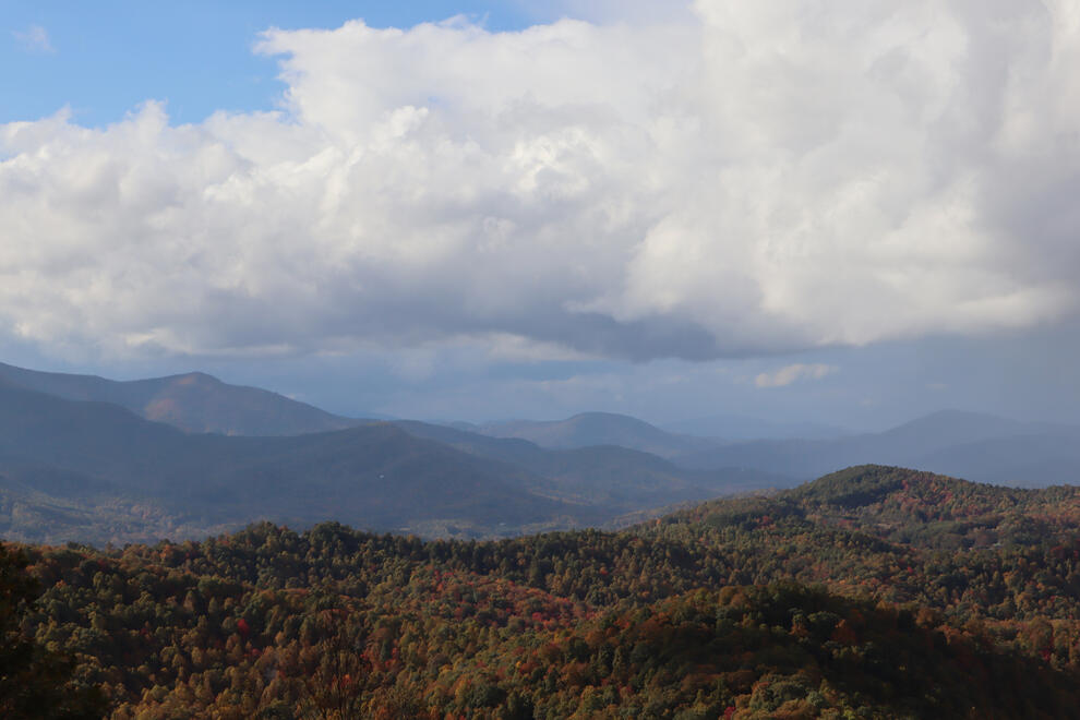 Pisgah National Forest, NC, US. Shot on Canon EOS M50 Mark I.