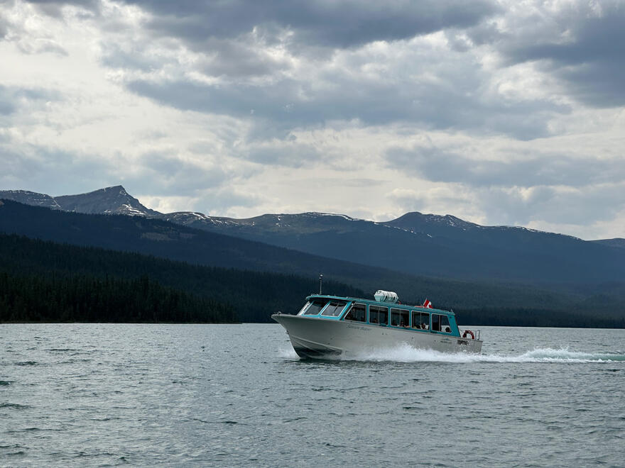 Jasper National Park, Alberta, Canada. Shot on iPhone 14 Pro.