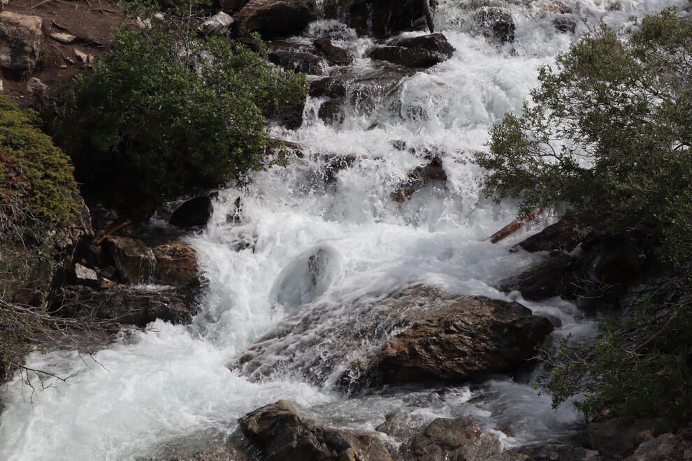 Jasper National Park, Alberta, Canada. Shot on Canon EOS M50 Mark I.
