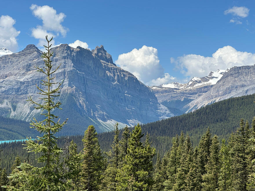 Banff National Park, Alberta, Canada. Shot on iPhone 14 Pro.