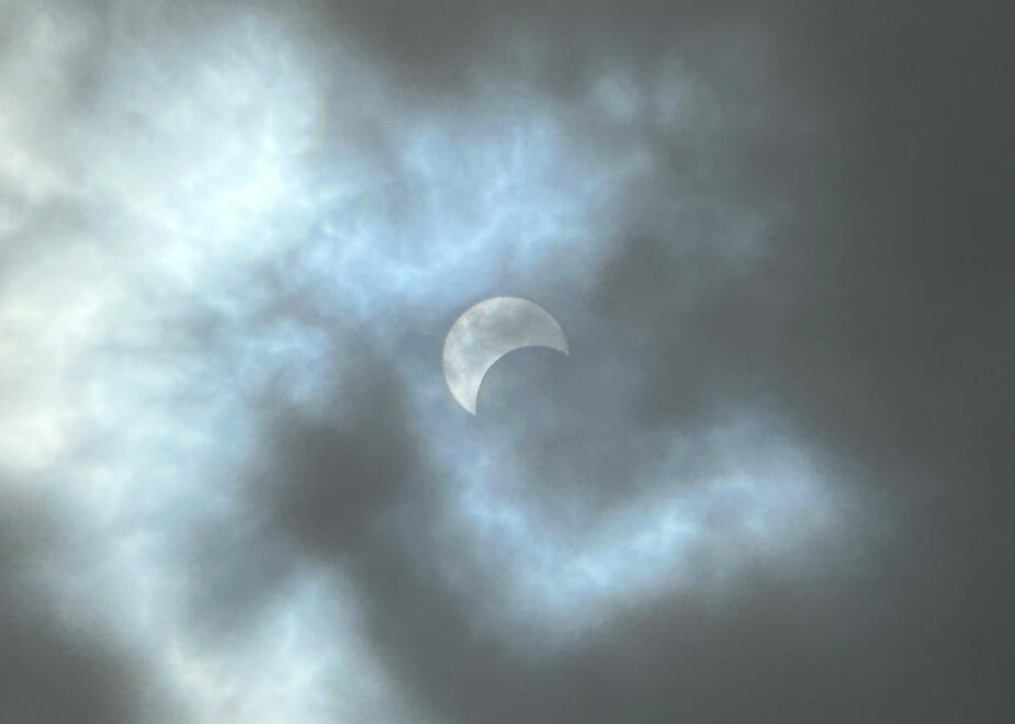 Asheville, NC, US. Shot on iPhone 14 Pro.