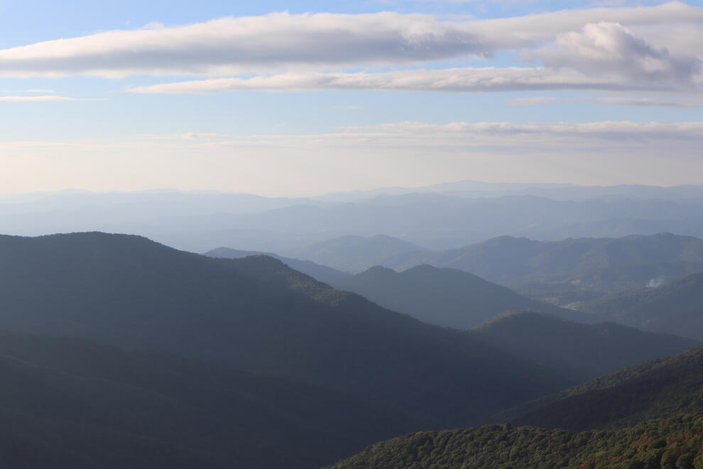Pisgah National Forest, NC, US. Shot on Canon EOS M50 Mark I.