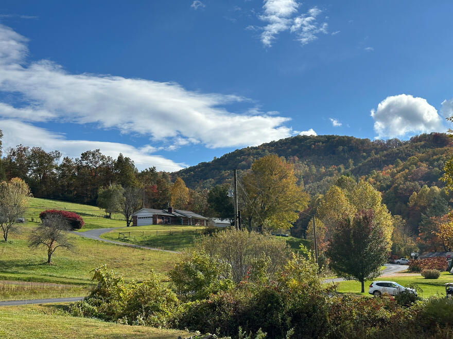 Pisgah National Forest, NC, US. Shot on iPhone 14 Pro.